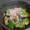 キングピット's cooksnap of when they made 茄子とピーマンの揚げない煮浸し.