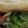 kkll0000's cooksnap of when they made シーザードレッシングでＢＬＴサンド.