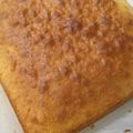 毎日しょっぱい亭's cooksnap of when they made リッチアーモンドのバターケーキ.