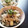 3mamakuma's cooksnap of when they made ひじきとごぼうのシンプル炊き込みご飯.
