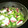 3mamakuma's cooksnap of when they made ✿✿タコときゅうりのらっきょ酢和え✿✿.