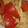 ♡meme♡♪♪'s cooksnap of when they made トマトと卵の炒め物.
