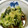 クックRYTDC4☆'s cooksnap of when they made きゅうりのさっぱり酢の物.