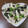 まさたかまま's cooksnap of when they made ササミとカイワレの和えもの.