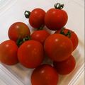 ガラパ's cooksnap of when they made しわしわにならないプチトマトの保存法☆.
