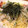 Y．ぱぴこ's cooksnap of when they made もやしと水菜と舞茸の和風パスタ.