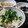 ちばたま's cooksnap of when they made なんちゃって炊き込みごはん☆.
