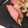 あぶらっこ's cooksnap of when they made ★きゅうりのハム巻き★.