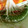 ☆miffy☆彡's cooksnap of when they made 胡瓜と大根のあっさり漬け.