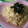 ぐうすか's cooksnap of when they made 猫まんま風✿卵ごはん.
