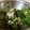 かすてら１２'s cooksnap of when they made サッと一品！ほうれん草のツナ和え.