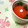 キョク's cooksnap of when they made トマトの浅漬け☆.