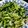 料理は嫌いじゃない♪'s cooksnap of when they made きゅうりとカニ風味かまぼこのピリ辛和え.