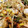 クックF8V8HD☆'s cooksnap of when they made 冷凍むきえびのタイ風野菜炒め.