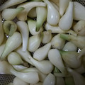 ゆうたけんと's cooksnap of when they made 産直農家の「らっきょう甘酢漬け」.