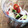 くろねこクック's cooksnap of when they made 切るだけ簡単❗たこと野菜の角切りマリネ.