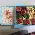 くま、's cooksnap of when they made 冷めてもおいしい！焼きそば入りたまご焼き.