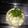 味魔女's cooksnap of when they made 塩麹で＊かぶの浅漬け♪.