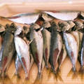 ＊＊aco＊＊'s cooksnap of when they made 豆アジの手捌き方法.