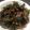 クックX8P1TI☆'s cooksnap of when they made するめいかとワカメのサラダ.