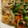 めいぬこ's cooksnap of when they made 早くてさくっと野菜と豚肉の温か皿うどん.