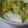 みやびうさぎ's cooksnap of when they made 白菜の漬物.