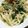 ぴよなーす's cooksnap of when they made 火を使わない！ｶﾙﾎﾞﾅｰﾗうどん⭐.