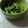 ★Rascal★'s cooksnap of when they made すぐできる♪小松菜の煮浸し.
