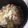 クックZ8J4H4☆'s cooksnap of when they made ハムとキャベツのさっぱり煮.