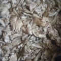み～ちゃん★！'s cooksnap of when they made 簡単一品♪豚肉と舞茸のポン酢炒め.