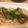 hrkwmaki's cooksnap of when they made 鯖の和風南蛮漬け風(*´∪｀*)♡.