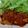 Pasccuchi's cooksnap of when they made 鯖のトマトソース煮込み.