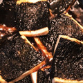 ささゆかちゃん's cooksnap of when they made 旨い！！ 豆腐 de かば焼き！.