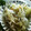 ユーロン's cooksnap of when they made 簡単　野菜炒め（キャベツ炒め）.