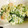loaloa's cooksnap of when they made うちの定番サラダ.