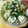 ako❀'s cooksnap of when they made きゅうりとミョウガの浅漬け.