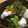 QOO36's cooksnap of when they made 揚げ出し豆腐とお野菜.