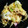 crystaI's cooksnap of when they made かまぼこの卵とじ.