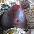 mroses's cooksnap of when they made ビーツの下処理.