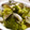 maruru-nn's cooksnap of when they made あさりと野菜の酒蒸し.
