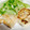 さくさくみんく's cooksnap of when they made 絶品☆低糖質ささみのチーズはさみ焼き.