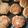 ふぅこ１１１１'s cooksnap of when they made とんかつリメイク　ハンバーグ.