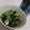 きらり流れ星's cooksnap of when they made きゅうりの中華漬け.