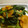maruru-nn's cooksnap of when they made 簡単★ほうれん草とにんじんのバター麺つゆ.