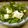 maruru-nn's cooksnap of when they made わさび菜のオーロラソースサラダ.