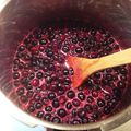 ウメキチのかあちゃん's cooksnap of when they made 材料３つで簡単＊ブルーベリージャム.