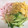 gomakapi's cooksnap of when they made Wごまの冷やし中華♪.