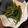 ★サンバ★'s cooksnap of when they made モロッコインゲンの和風和え.