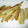 daikanon's cooksnap of when they made 簡単ゴボウの唐揚げ.