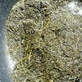 ビアチャン's cooksnap of when they made 【5分で出来る】茶葉が大変身！ほうじ茶.